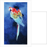 Red and Blue Macaw, 2002 by Odile Kidd