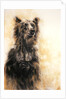Grizzly Bear 1, 2002 by Odile Kidd