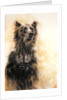 Grizzly Bear 1, 2002 by Odile Kidd