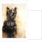 Grizzly Bear 1, 2002 by Odile Kidd