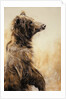 Grizzly Bear 2, 2002 by Odile Kidd