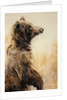 Grizzly Bear 2, 2002 by Odile Kidd