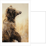 Grizzly Bear 2, 2002 by Odile Kidd