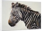 Zebra, 2002 by Odile Kidd
