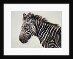 Zebra, 2002 by Odile Kidd