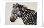 Zebra, 2002 by Odile Kidd