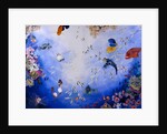 Underwater World IV by Odile Kidd