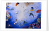 Underwater World IV by Odile Kidd