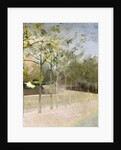 Chelsea Embankment, Plane Trees, 1908 by Paul Fordyce Maitland