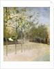 Chelsea Embankment, Plane Trees, 1908 by Paul Fordyce Maitland