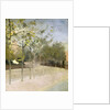 Chelsea Embankment, Plane Trees, 1908 by Paul Fordyce Maitland