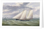 A Cutter in a Strong Wind Flying a Burgee of the Royal Thames Yacht Club by Arthur Wellington Fowles