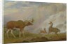 Earl of Orford's Elk, Antelope and Stag by George Garrard