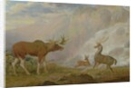 Earl of Orford's Elk, Antelope and Stag by George Garrard