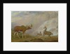 Earl of Orford's Elk, Antelope and Stag by George Garrard