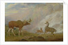 Earl of Orford's Elk, Antelope and Stag by George Garrard