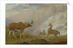 Earl of Orford's Elk, Antelope and Stag by George Garrard