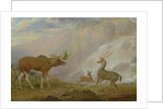 Earl of Orford's Elk, Antelope and Stag by George Garrard