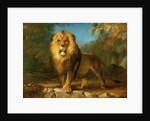 A Lion, 1840 by William Huggins