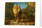 A Lion, 1840 by William Huggins