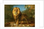 A Lion, 1840 by William Huggins