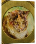 Study of a Tortoiseshell Cat by William Huggins