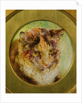 Study of a Tortoiseshell Cat by William Huggins
