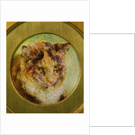 Study of a Tortoiseshell Cat by William Huggins