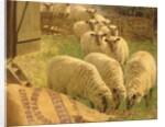 Sheep feeding from an upturned grain bag by William Gunning King