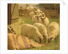 Sheep feeding from an upturned grain bag by William Gunning King