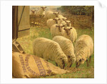 Sheep feeding from an upturned grain bag by William Gunning King