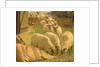 Sheep feeding from an upturned grain bag by William Gunning King