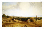 The Harvest Field, 1846 by Frederick Richard Lee