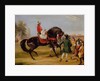 The Earl of Godolphin's 'Scham' with an Arab up, 1845 by Francis Calcraft Turner