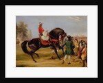 The Earl of Godolphin's 'Scham' with an Arab up, 1845 by Francis Calcraft Turner