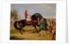 The Earl of Godolphin's 'Scham' with an Arab up, 1845 by Francis Calcraft Turner