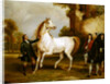 The Earl of Godolphin's 'Roxana' held by her jockey, 1845 by Francis Calcraft Turner