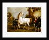 The Earl of Godolphin's 'Roxana' held by her jockey, 1845 by Francis Calcraft Turner