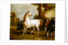 The Earl of Godolphin's 'Roxana' held by her jockey, 1845 by Francis Calcraft Turner