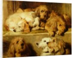 Hounds in a kennel by Edwin Landseer
