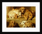 Hounds in a kennel by Edwin Landseer