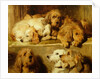 Hounds in a kennel by Edwin Landseer