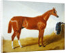 Elis, 1836 by John Frederick Herring Snr