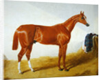 Elis, 1836 by John Frederick Herring Snr