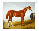 Elis, 1836 by John Frederick Herring Snr