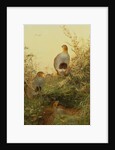 A covey of partridge in the bracken at sunset by Charles Whymper
