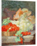 Redcurrants and Grapes, 1864 by Eloise Harriet Stannard