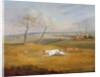 Coursing: the chase by Samuel Alken