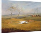 Coursing: the chase by Samuel Alken