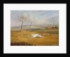 Coursing: the chase by Samuel Alken